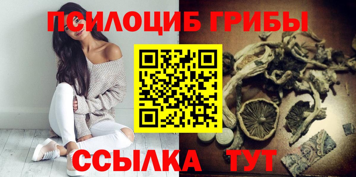 Галлюциногенные грибы мицелий Торжок