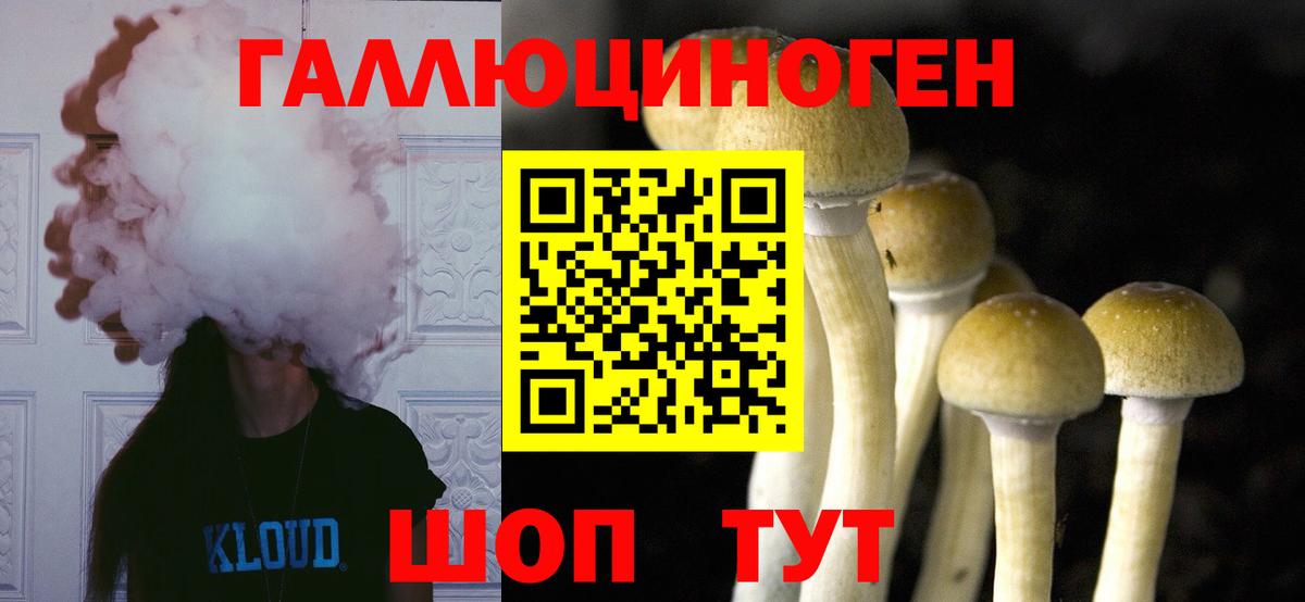 Торжок  Псилоцибиновые грибы MAGIC MUSHROOMS  Вход с VPN 